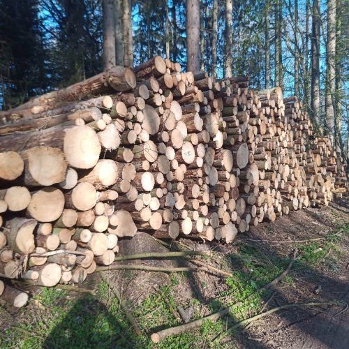 bh-78 Stammholz – Nadelholz