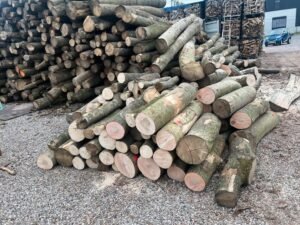 Stammholz – Hartholzmix – Bild 3