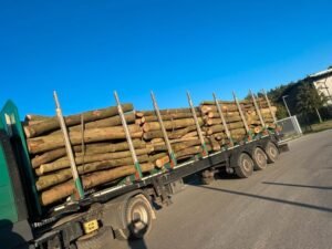 Stammholz – Hartholzmix – Bild 4
