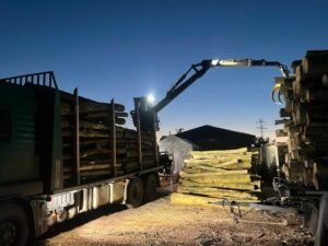 Stammholz – Hartholzmix – Bild 5