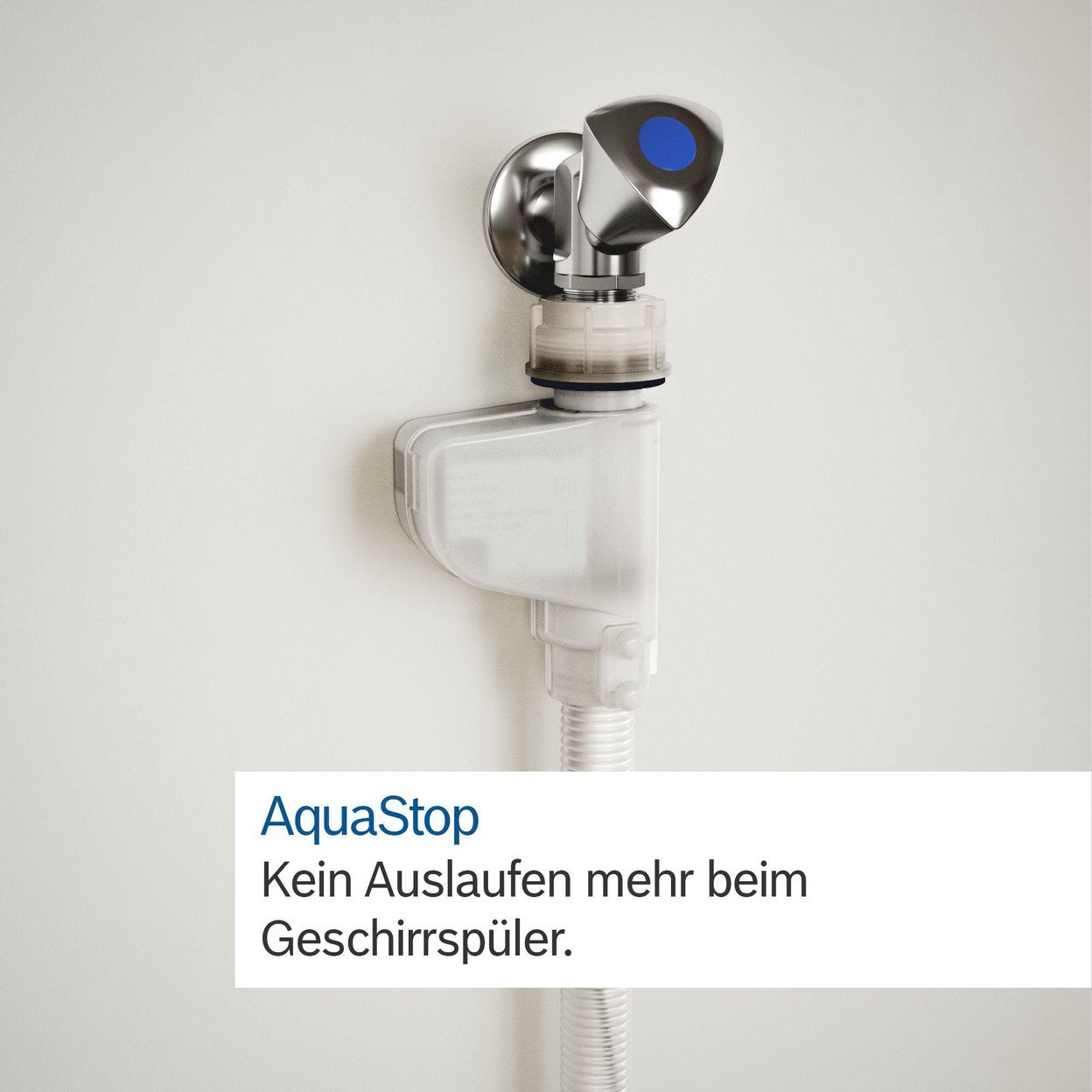 Die Rückseite einer CD mit Kunstwerk, einem Tisch mit Objekten und zwei Porträts.